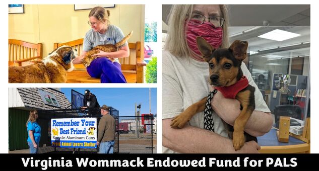 Parsons Area Community Foundation